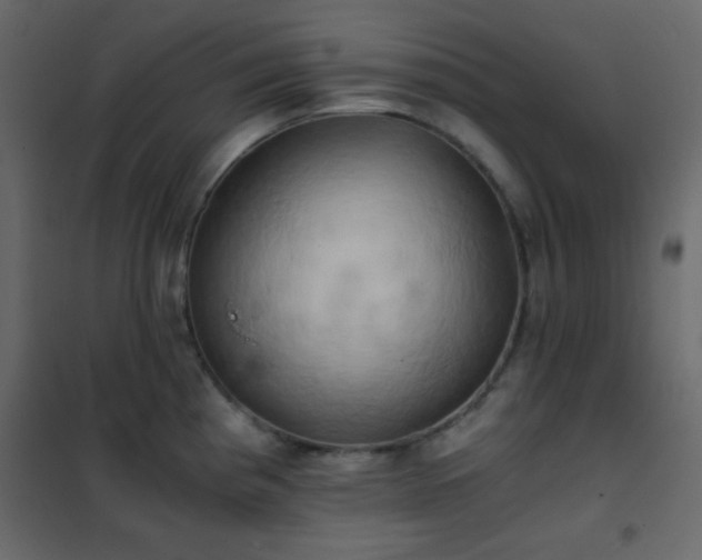 X0000102521193200808081420