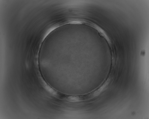 X0000102521194200808081420