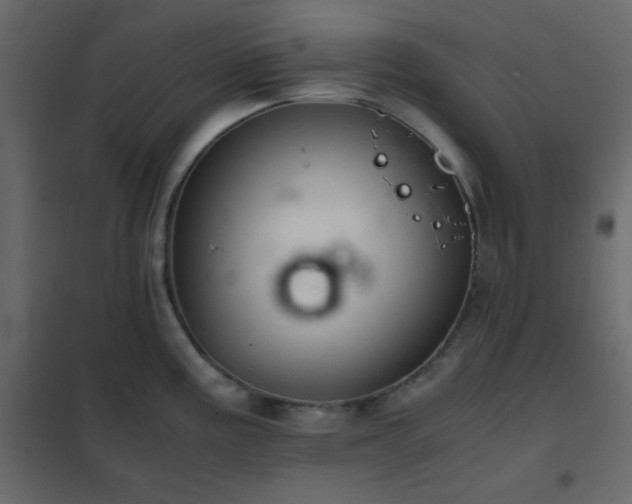 X0000102521195200808081420