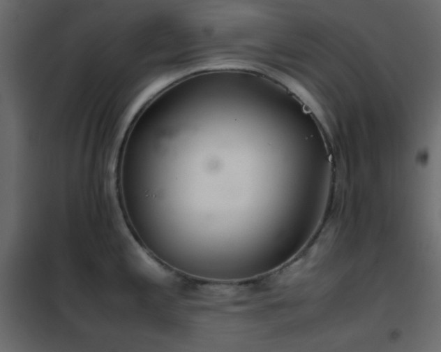 X0000102521197200808081420