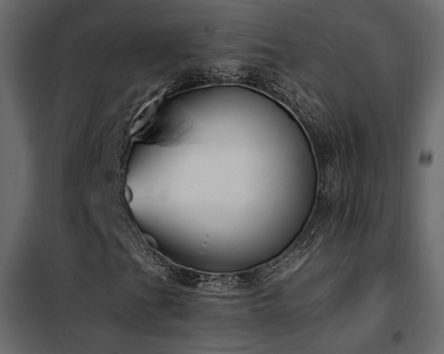 X0000102521201200808081419