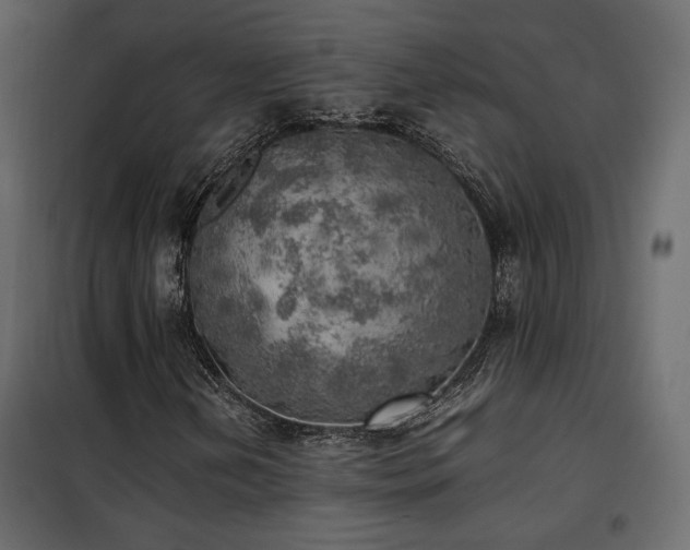 X0000102521202200808081419