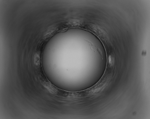 X0000102521203200808081419