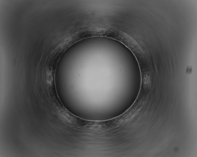 X0000102521204200808081419