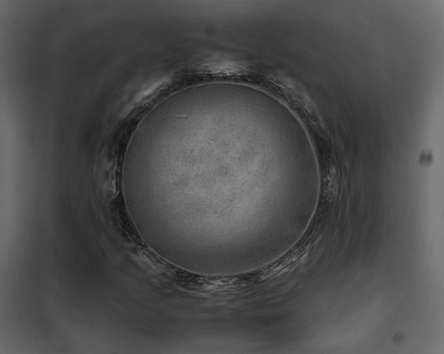 X0000102521205200808081419