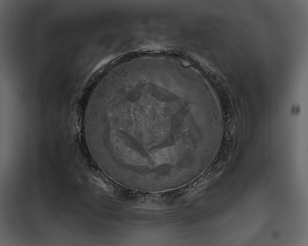 X0000102521206200808081419