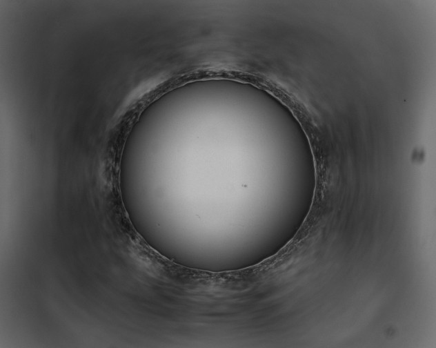 X0000102521207200808081419