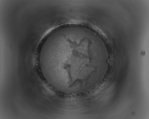 X0000102521208200808081419