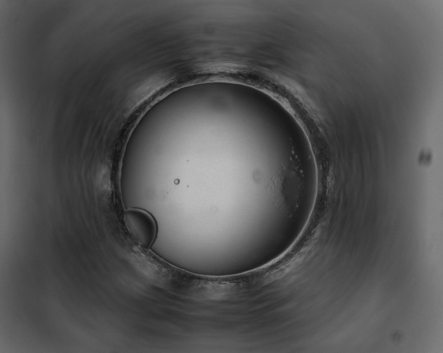 X0000102521209200808081419