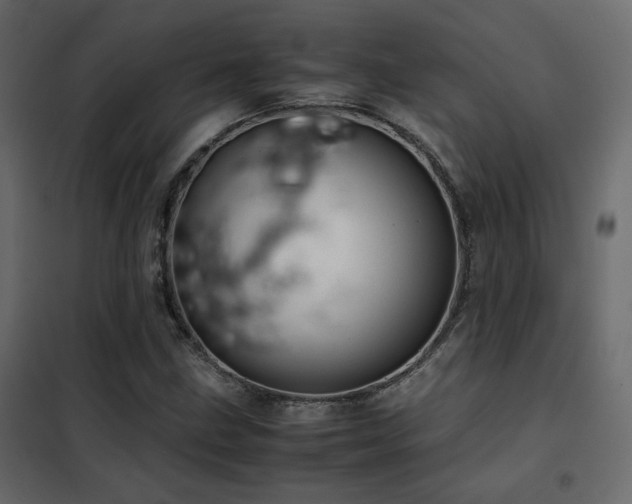 X0000102521211200808081419