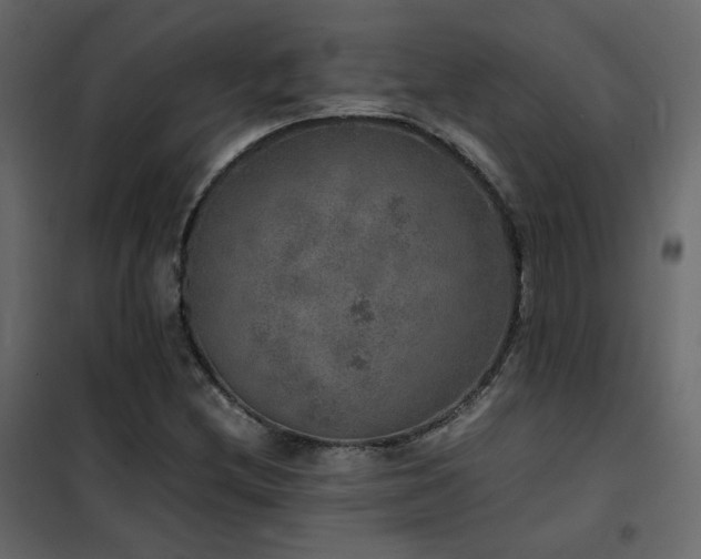 X0000102521212200808081419