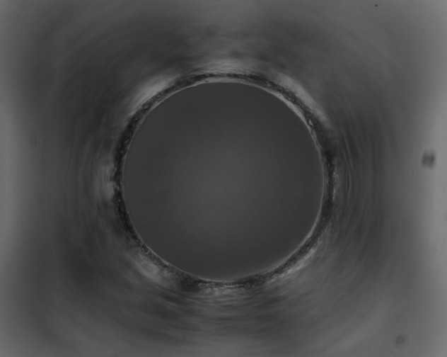 X0000102521213200808081419