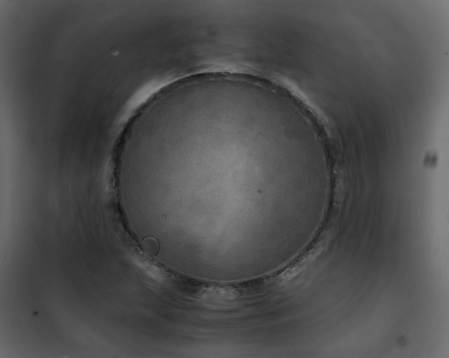 X0000102521215200808081419