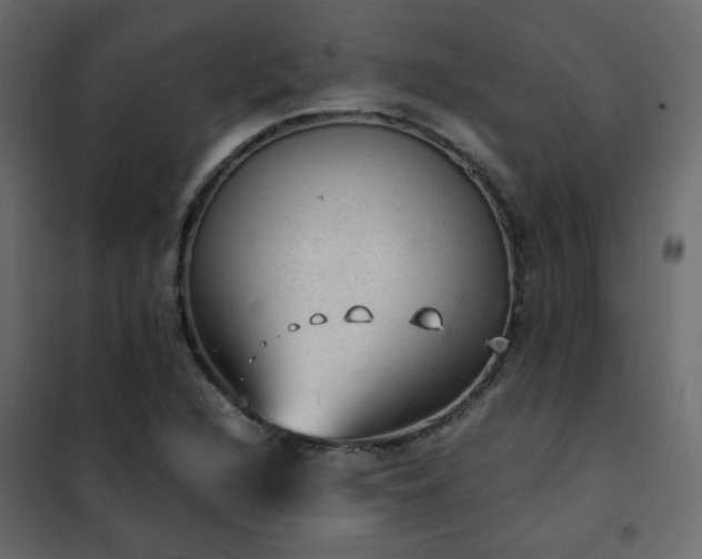 X0000102521216200808081419