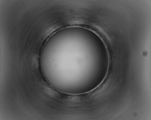 X0000102521217200808081419