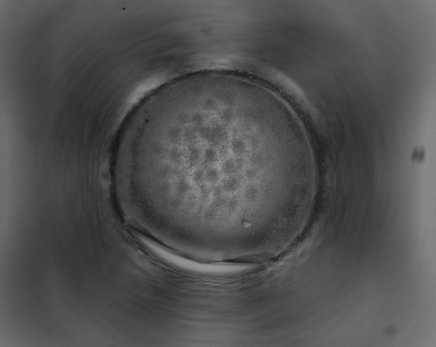 X0000102521218200808081419