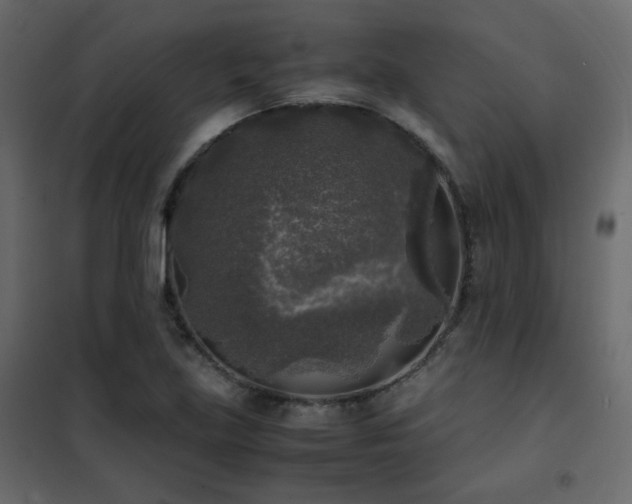 X0000102521219200808081419