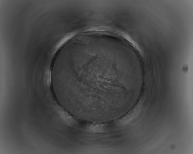 X0000102521221200808081419