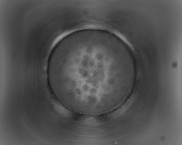 X0000102521222200808081419