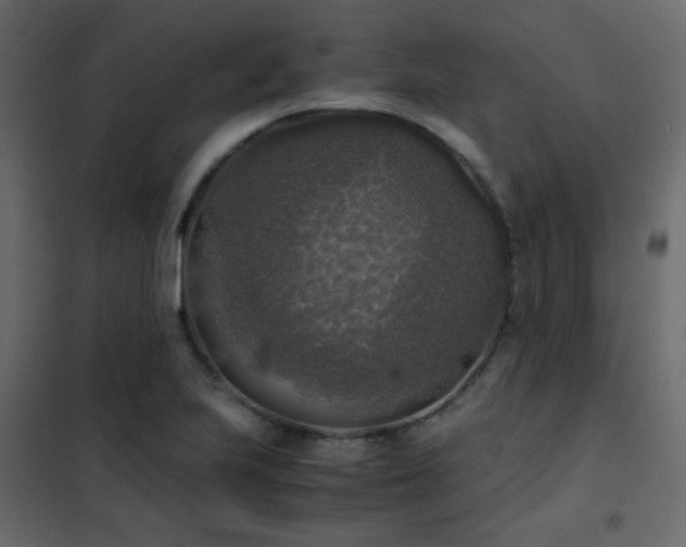 X0000102521223200808081419