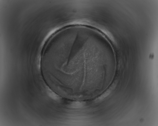 X0000102521224200808081420