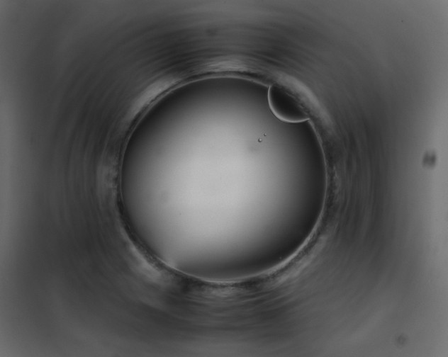 X0000102521225200808081420