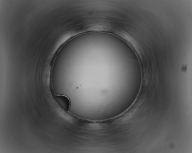 X0000102521227200808081420