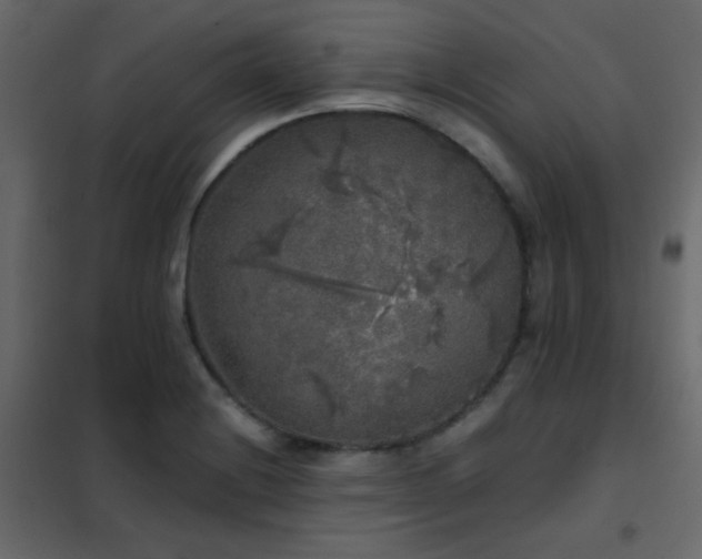 X0000102521228200808081420