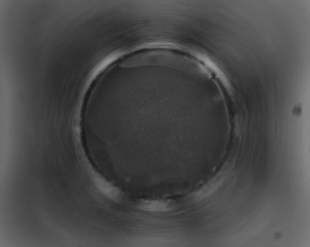 X0000102521229200808081420