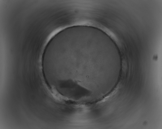 X0000102521230200808081420