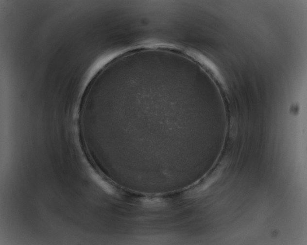 X0000102521231200808081420