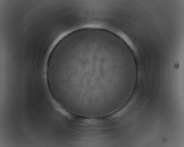 X0000102521232200808081420