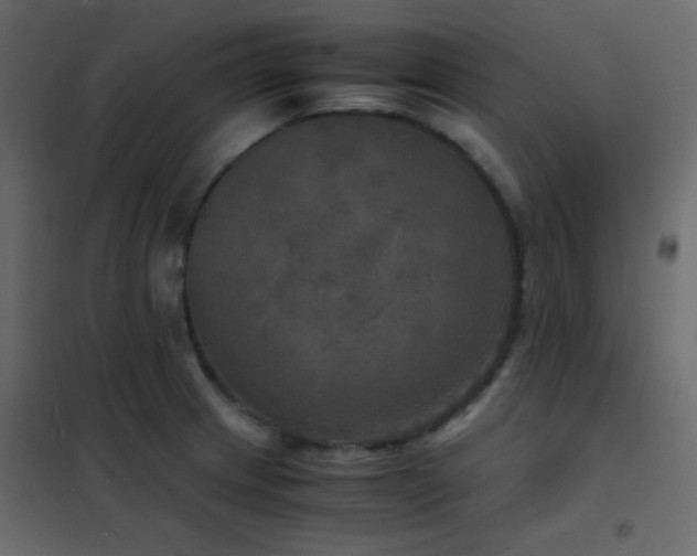 X0000102521233200808081420