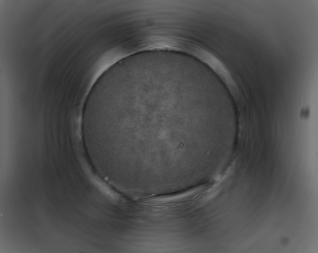 X0000102521234200808081420