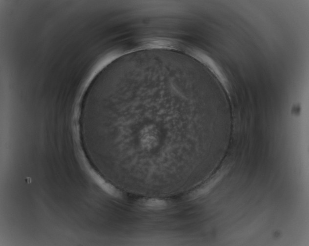 X0000102521235200808081420