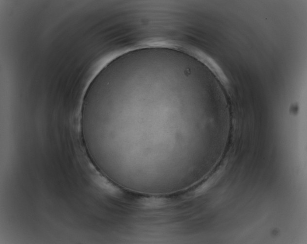 X0000102521236200808081420