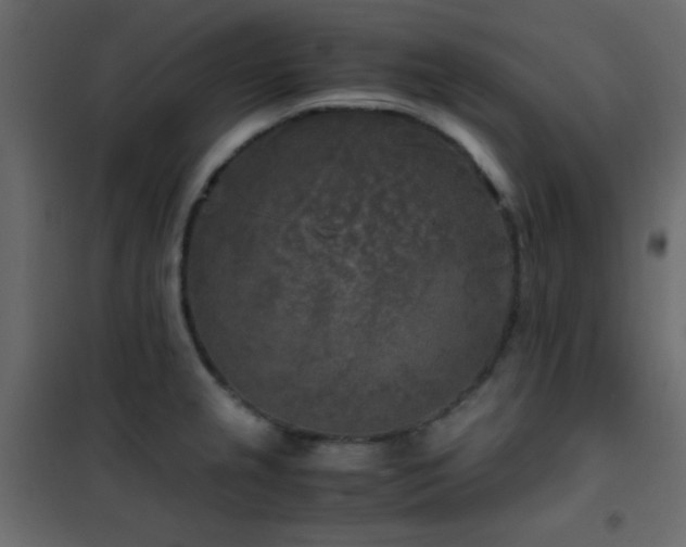 X0000102521237200808081420