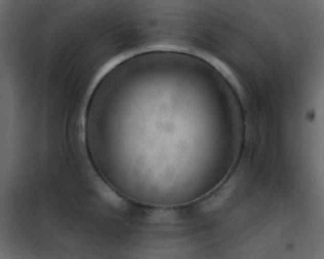 X0000102521238200808081420