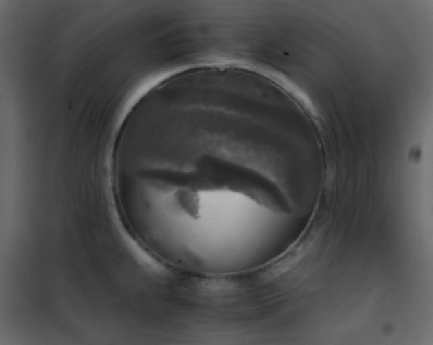 X0000102521239200808081420