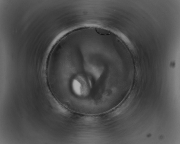 X0000102521240200808081420