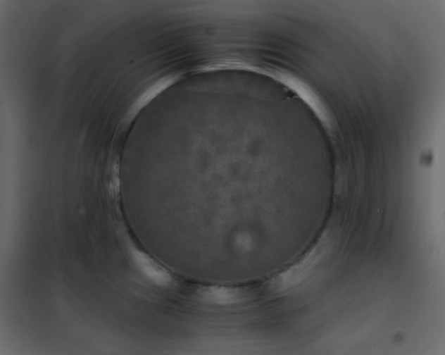 X0000102521241200808081420