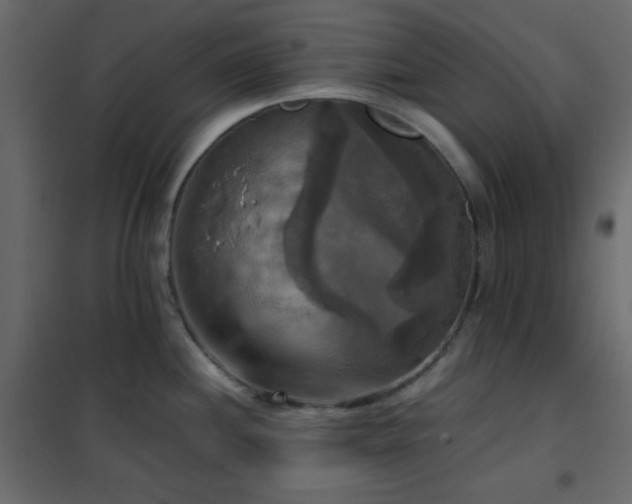 X0000102521244200808081420