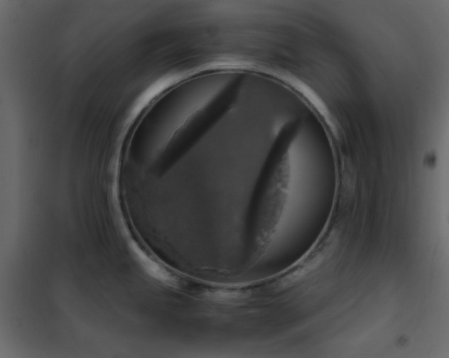 X0000102521245200808081420