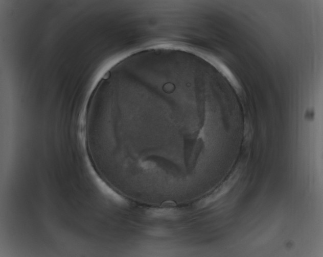 X0000102521247200808081420