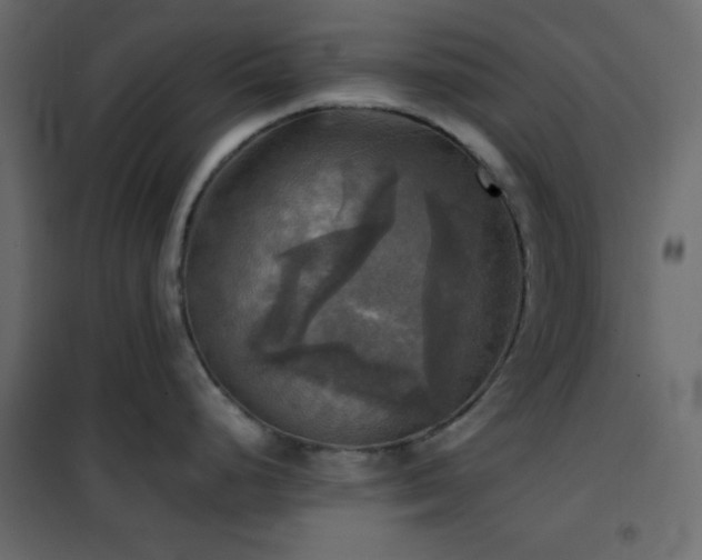 X0000102521248200808081420