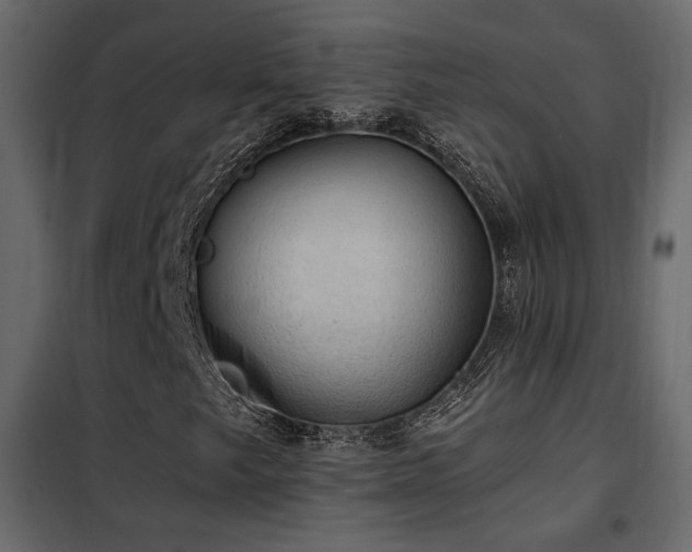 X0000102521249200808081419