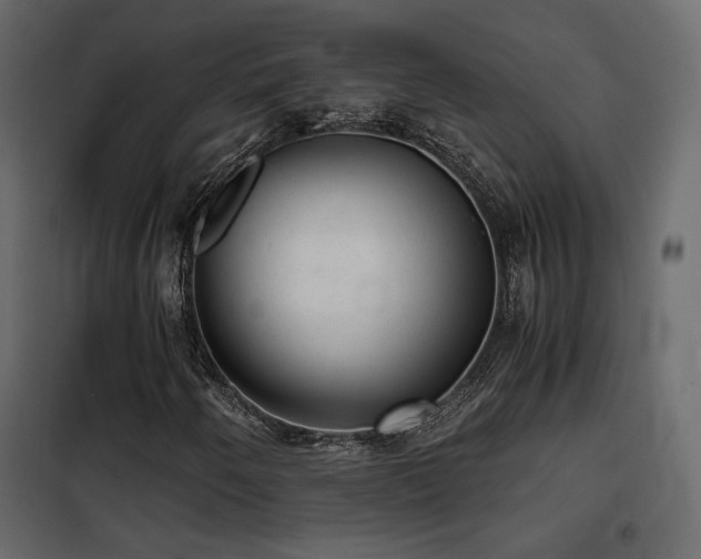 X0000102521250200808081419