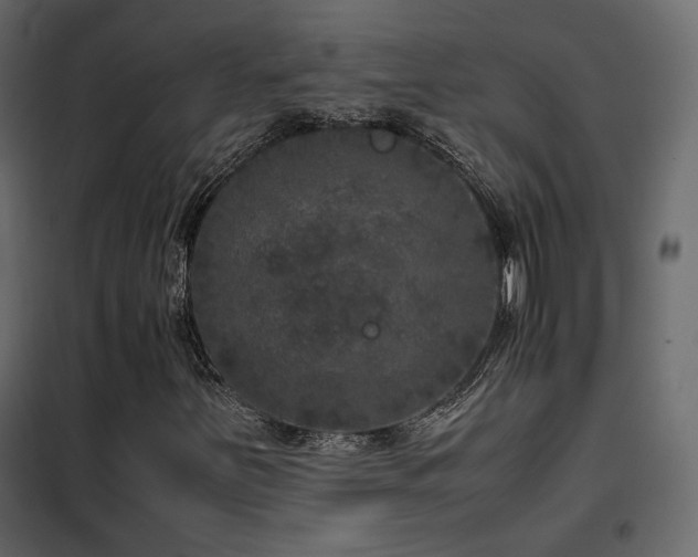 X0000102521251200808081419