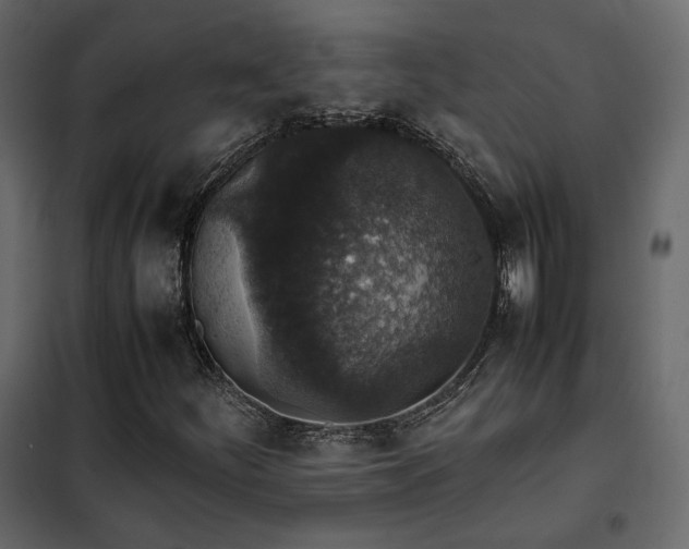 X0000102521252200808081419