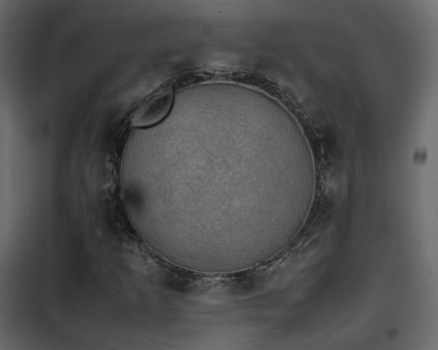 X0000102521253200808081419